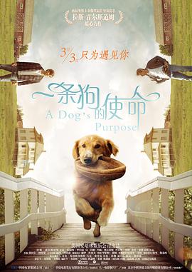 美女犬奴隶