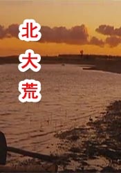 久久精品一区