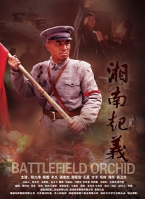 一品毛片